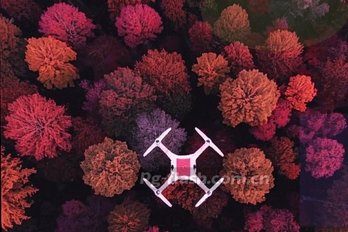 抽象几何图形围绕一个中心眼形图案排布，带轻微故障拖影与扫描线